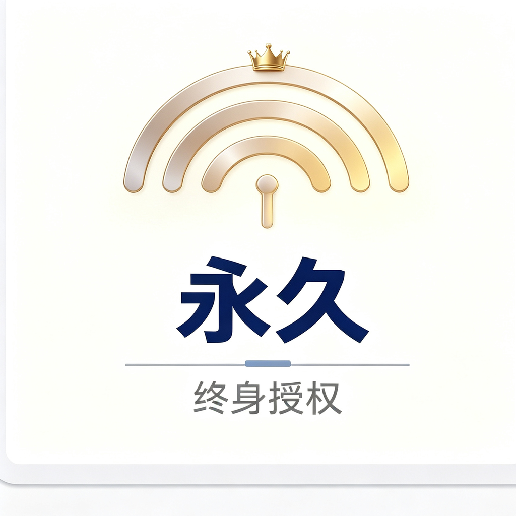 定制永久款（开发者可上门安装）（独一无二）
